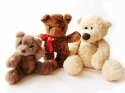 Three-Little-Bears-Daycare