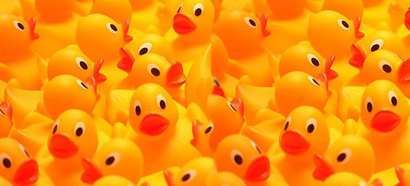 duck_race