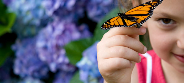 girl_butterfly