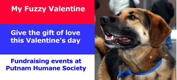 fuzzy_valentine