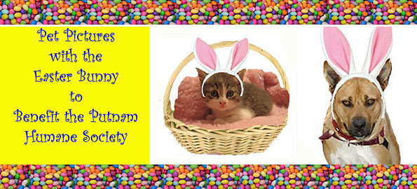 Pet Pictures with the Easter Bunny Pet Pictures with the Easter Bunny