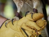zimmer2_talons.jpg