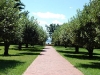 Boscobel House & Gardens
