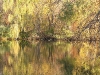 lake_cassecommunityview.jpg