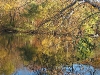 lake_cassecommunityview2a.jpg