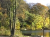 lakecassebeachview.jpg