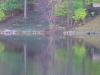 lakecassereflection.jpg