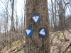 bluewhitetrail.jpg