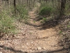 mcca_red_trail.jpg