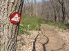 mccared_whitetrail.jpg