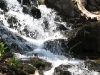 Celebrate 41 Years of Land Protection in Putnam County