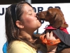 Strutt Your Mutt 2008