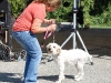 Strutt Your Mutt 2008