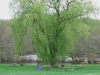 Veterans Memorial Park